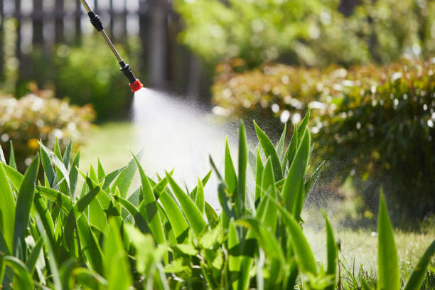 24/7 Emergency Mosquito Control experts in Maysville, OK
